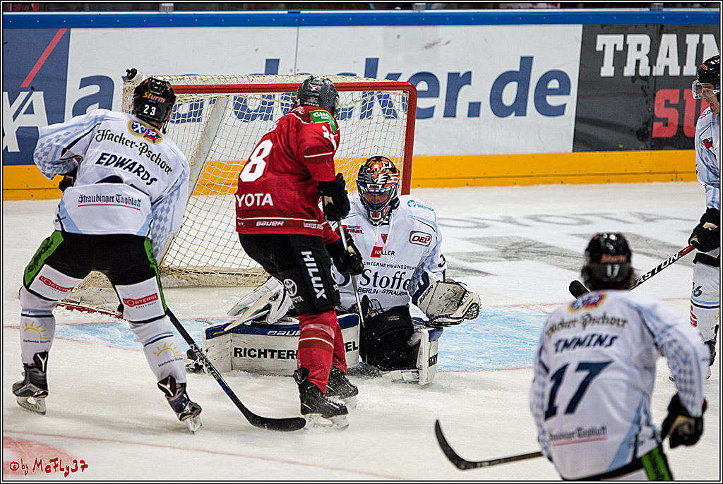 Koelner Haie - Straubing Tigers, 03.10.2016